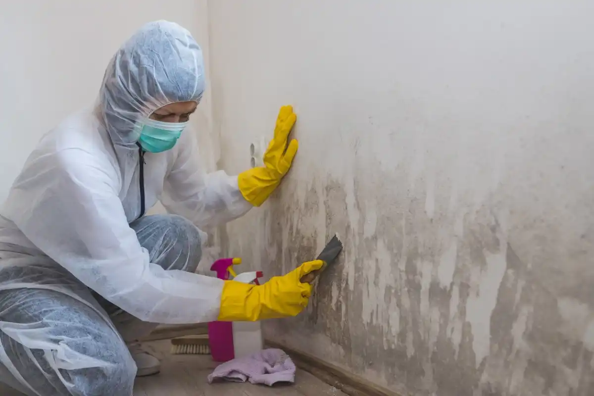How To Get Rid Of Mold On Indoor Walls