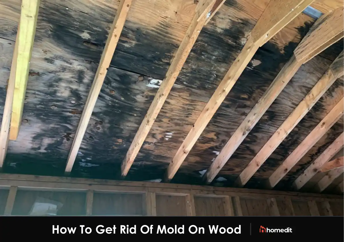How To Get Rid Of Mold On Wood