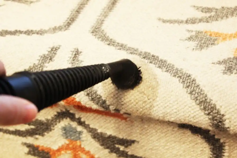 How to Clean Area Rugs steam the area