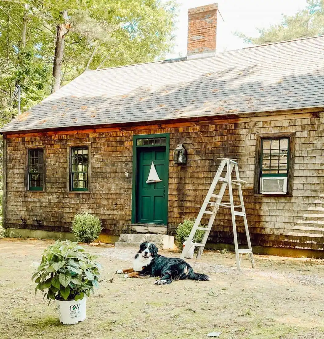 How to Know When Siding Needs to be Replaced