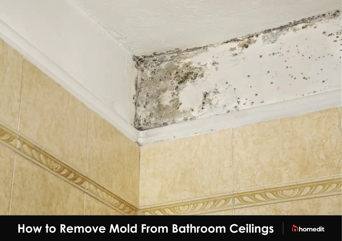 Mold On Bathroom Ceiling: Wipe Out With DIY Remedies