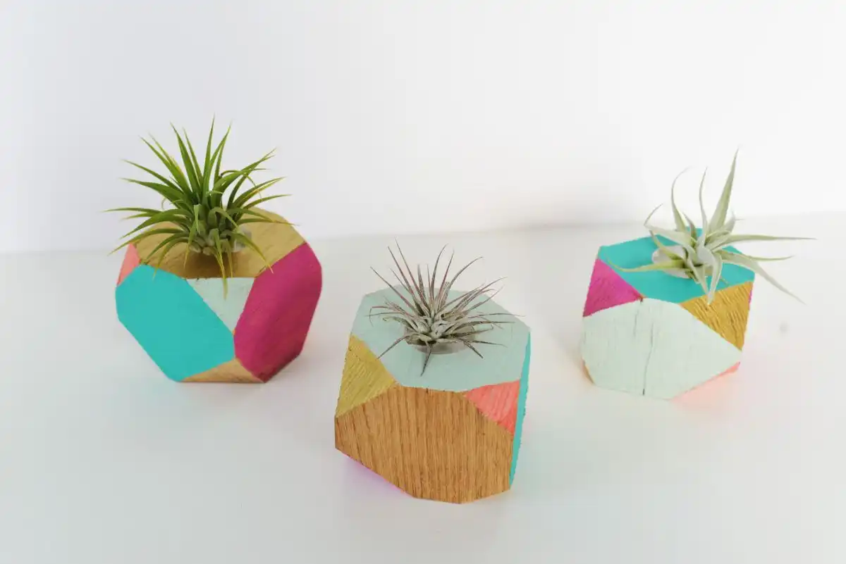 Incorporate some geometry planters