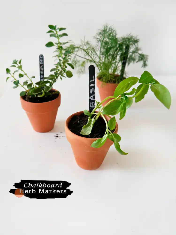 Individual popsicle sticks herb markers