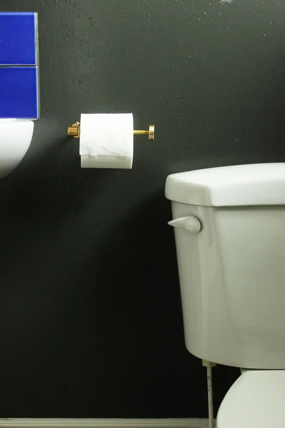 Industrial brass toilet paper holder you can do it yourself
