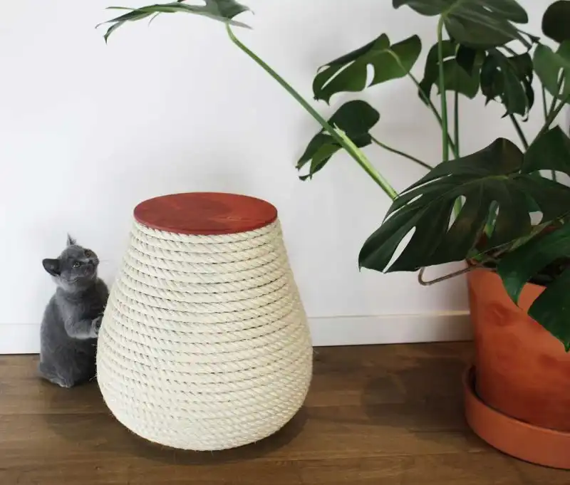 Krab vonk cats