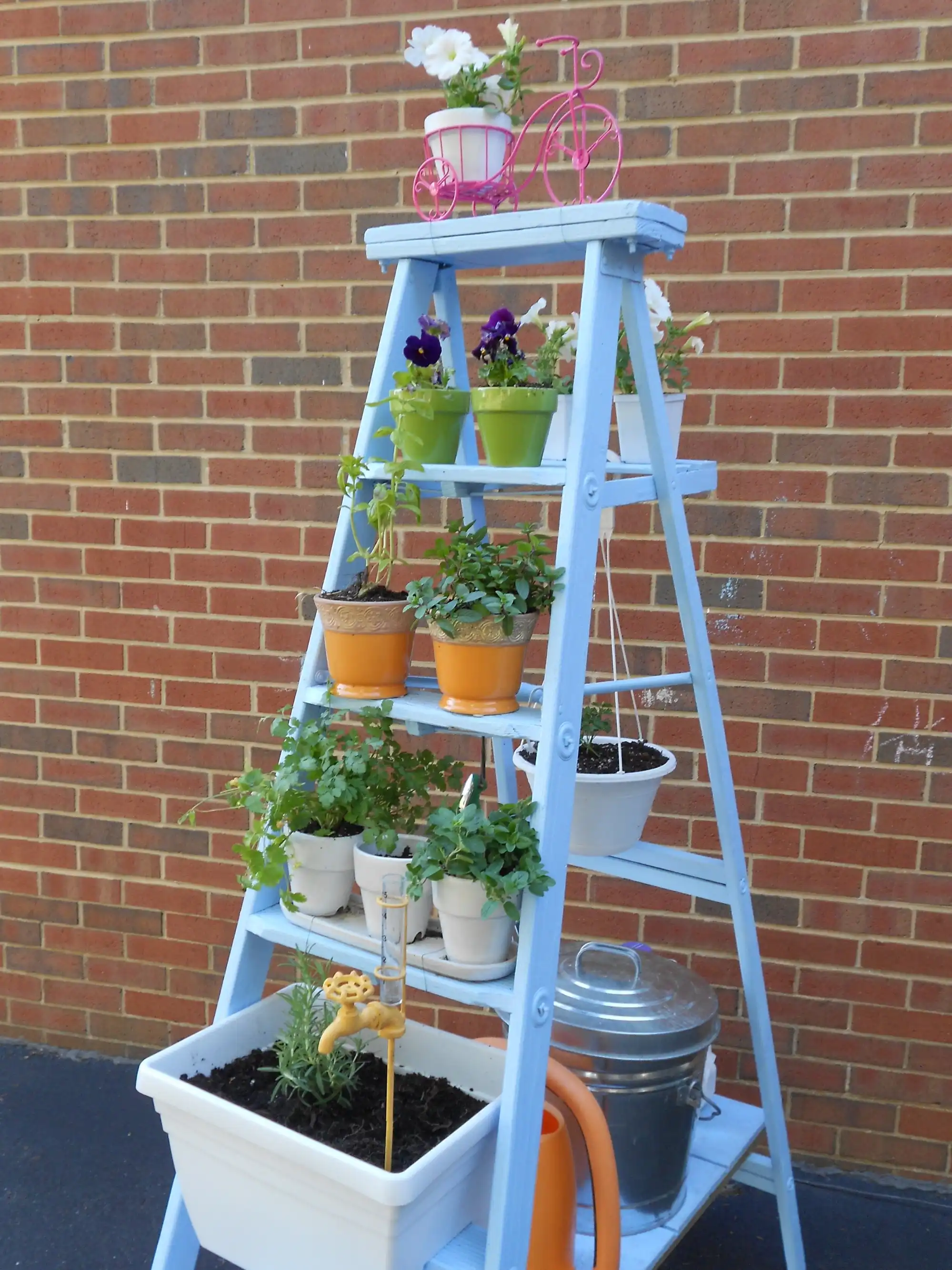 Ladder herb garden