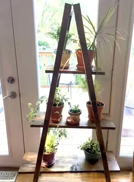 Ladder plant stand