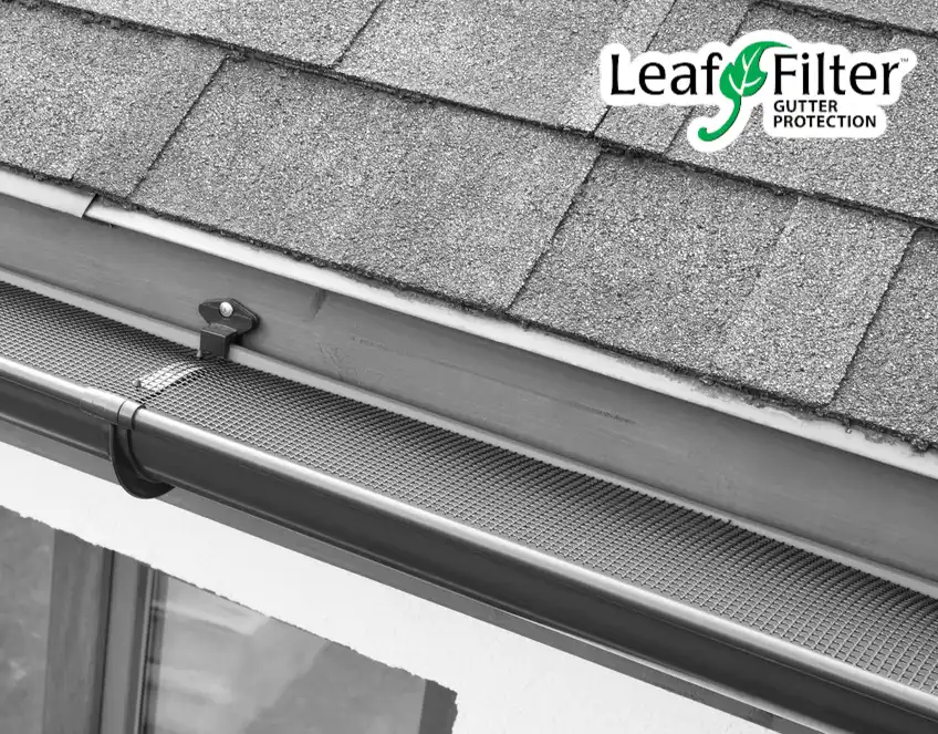 Leaf Filter gutter