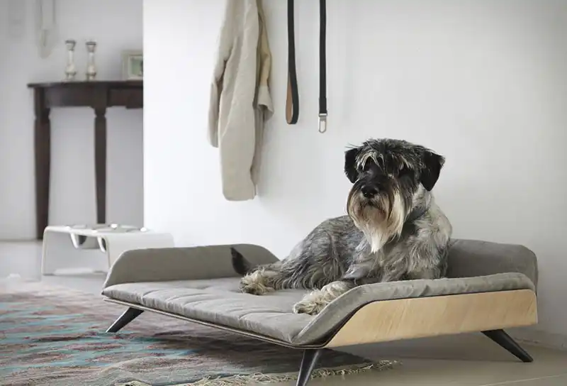 Letto dayBed