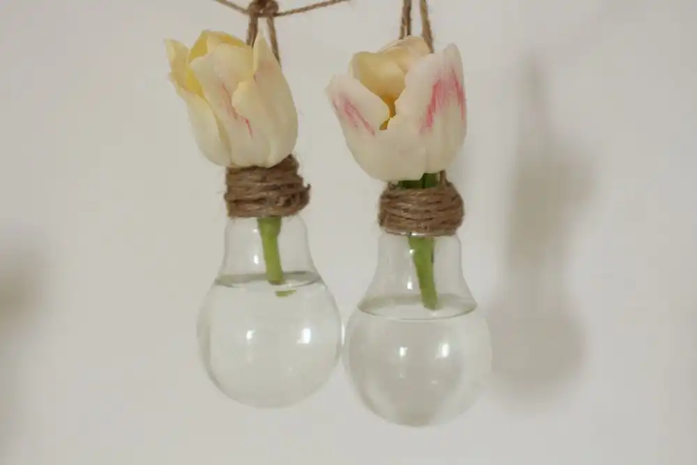 Light bulb recycle
