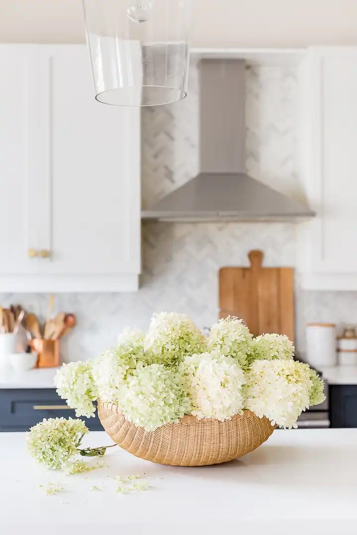 Limelight Hydrangea Basket Arrangement