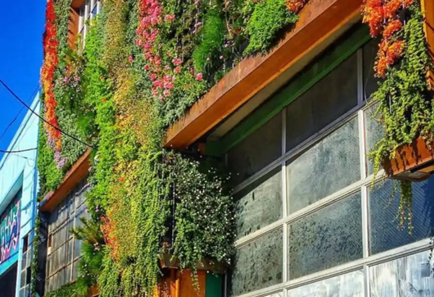 Living wall on San Francisco Closeer