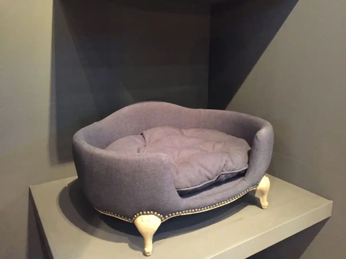 Lord Lou Pet Furniture