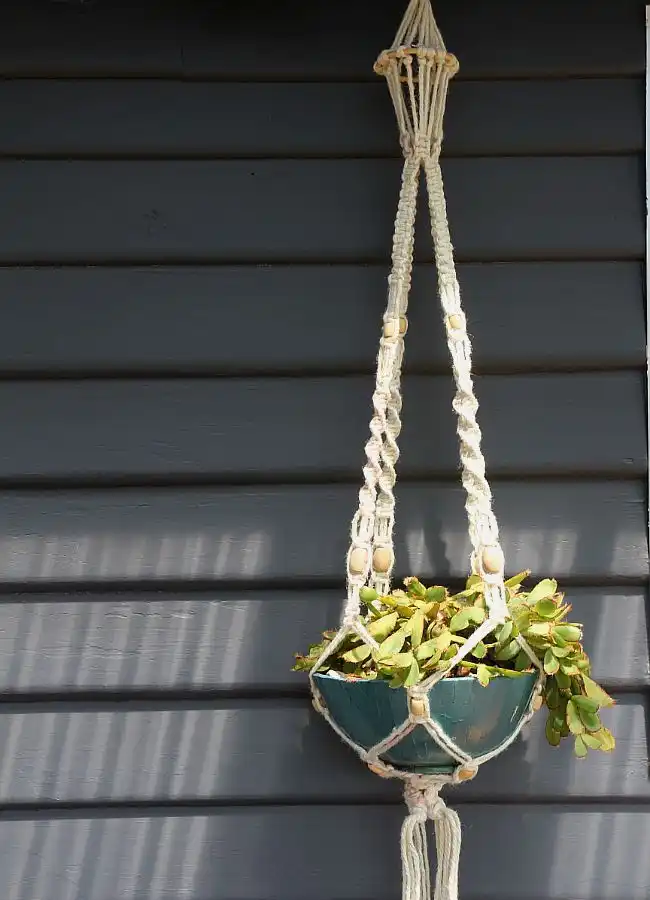 Macrame Plant Hanger organic materials