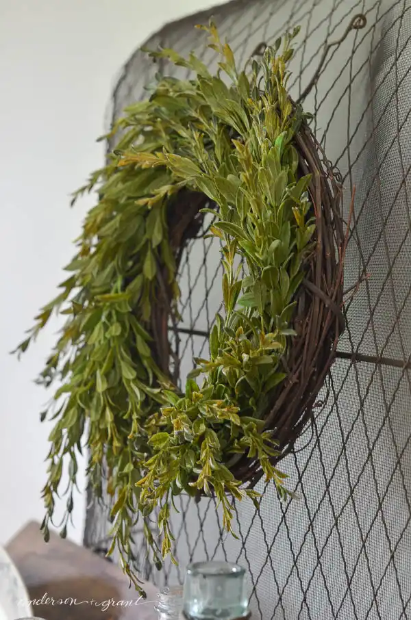 Making a DIY boxwood wreath