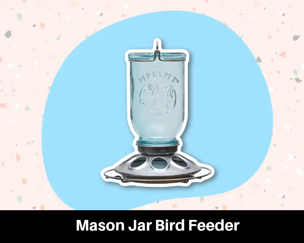Bird Feeder