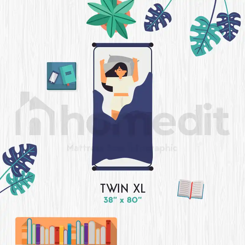 Twin XL Size Bed