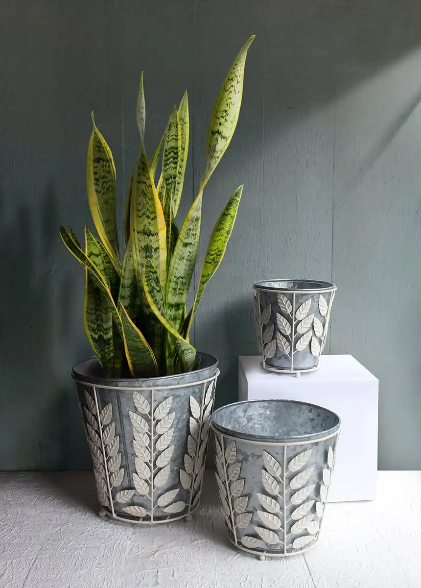 Metal Bucket Planters with Removable White Floral