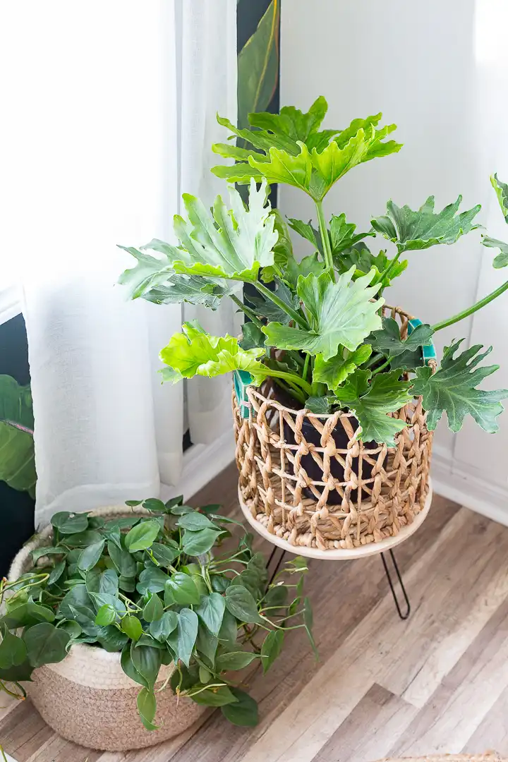 Metal plant table DIY using paper towel holders