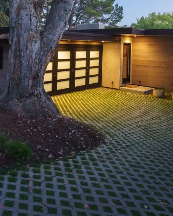 Midcentury Landscape in San Francisco