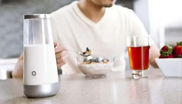 Milk Jug Secondary 01