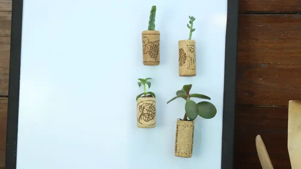Mini planters for the fridge