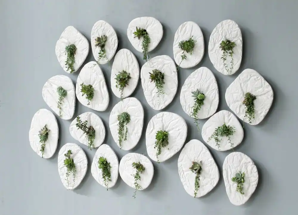 The Seed planters