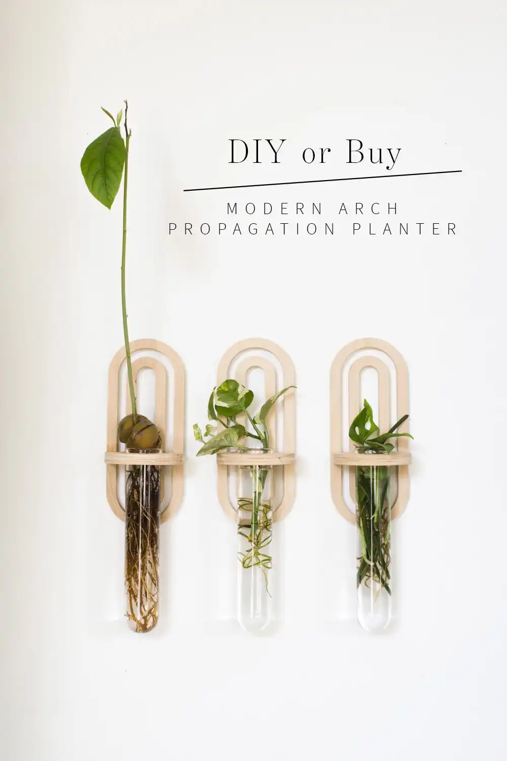 Modern Arch Propagation Planter