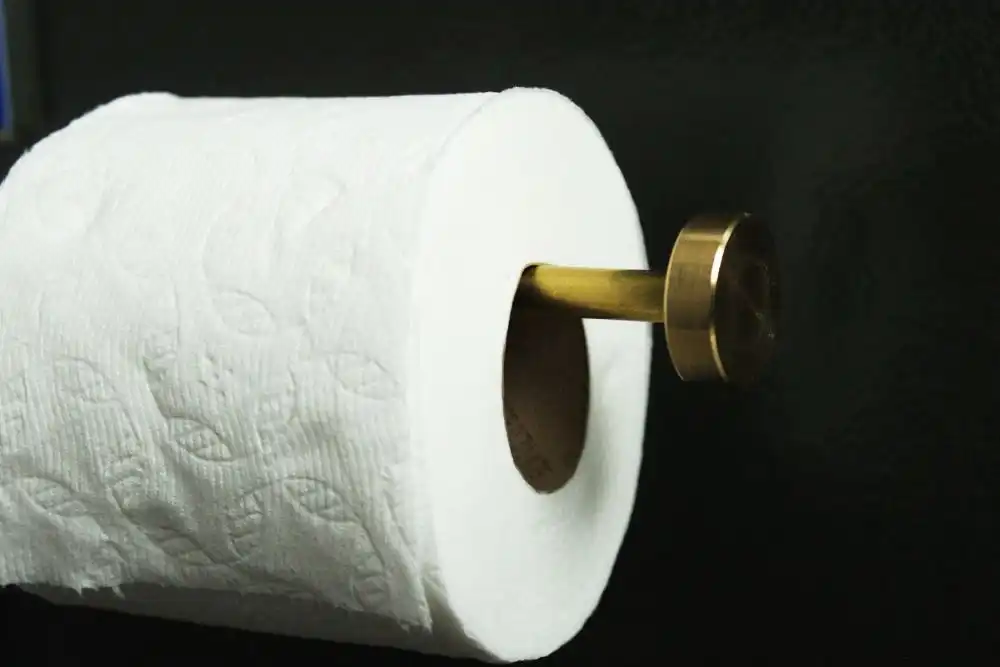 Modern Brass Toilet paper DIY