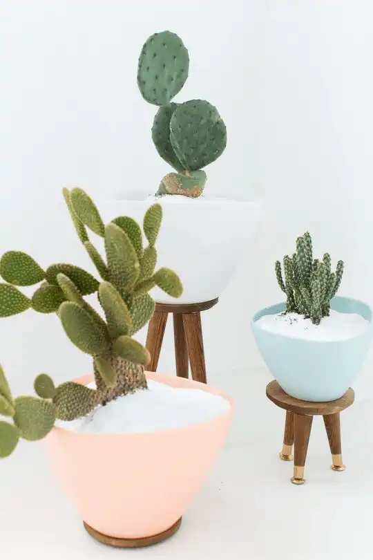 Modern Mid Century planter