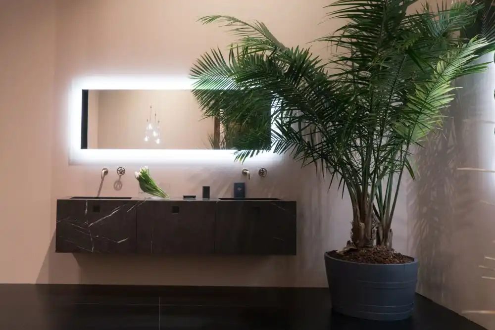 Modern floating vanity and large poted plants