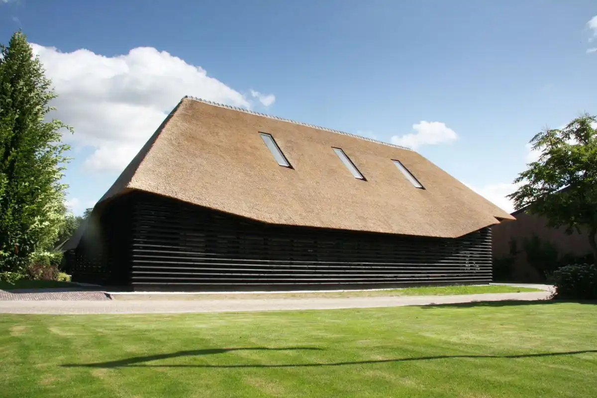 Modern house with House with thatched roof