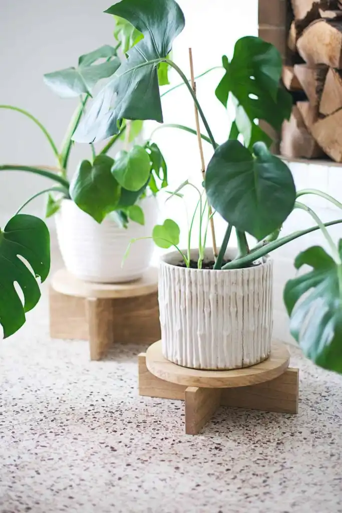 modern wooden plant stands