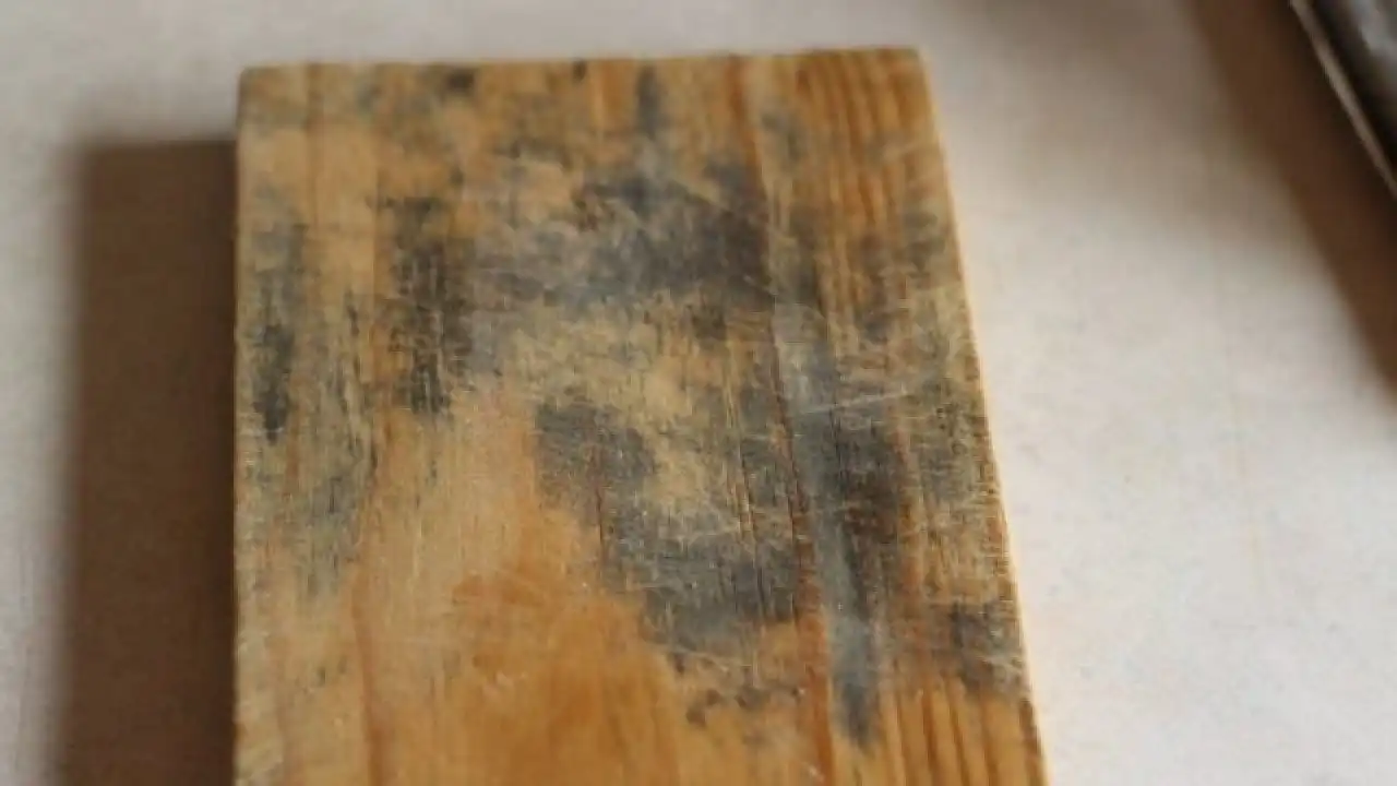get rid on wood mold