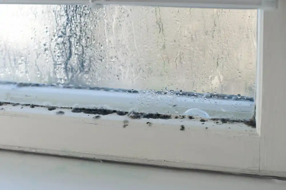 How To Remove Mold From Wood Surfaces