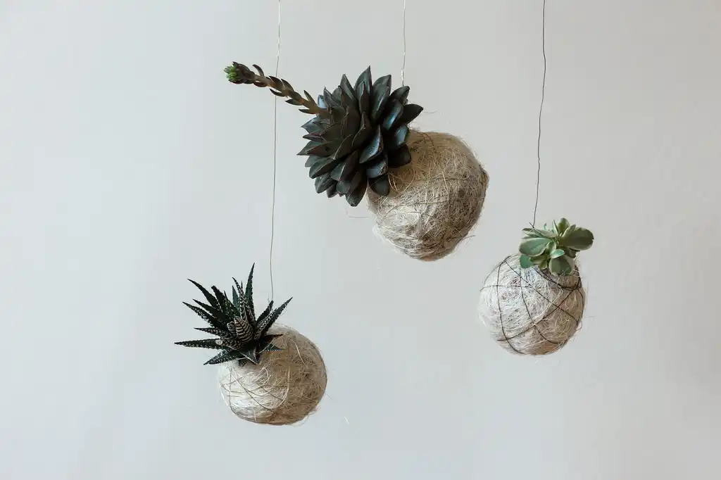 Moss hanging planter