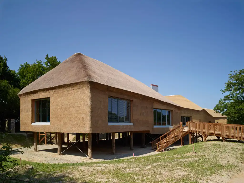 Museum and Biodiversity Research Center Design