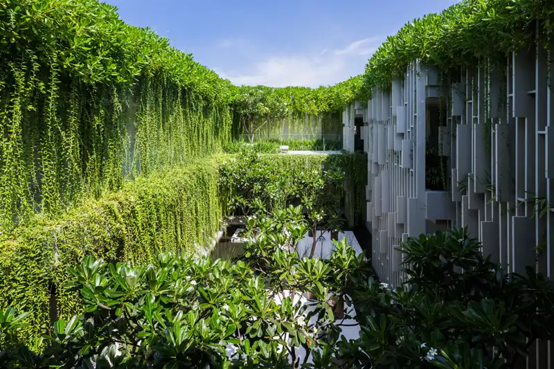 New Resort Spa Is Covered In Hanging Gardens Interior