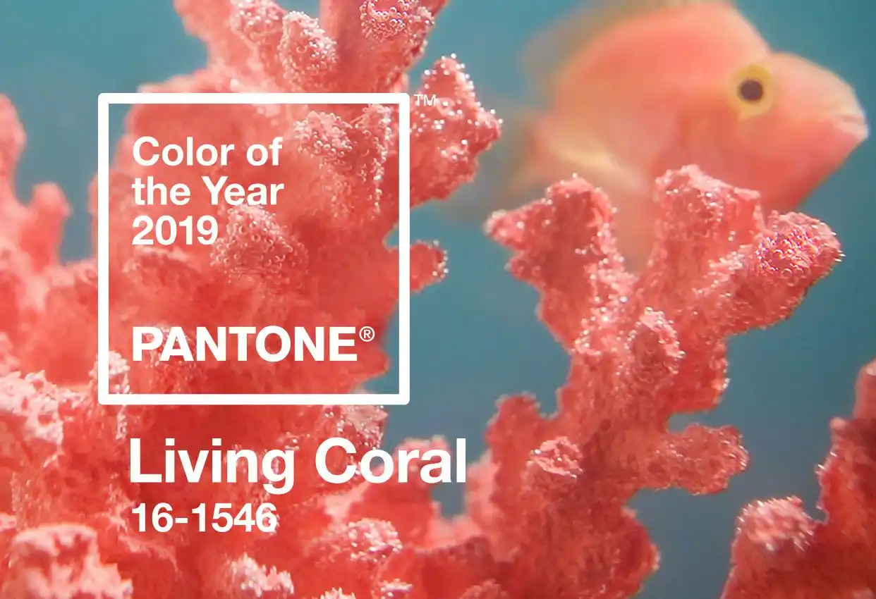 Pantone Color of 2019 Is The Playful And Mysterious Living Coral