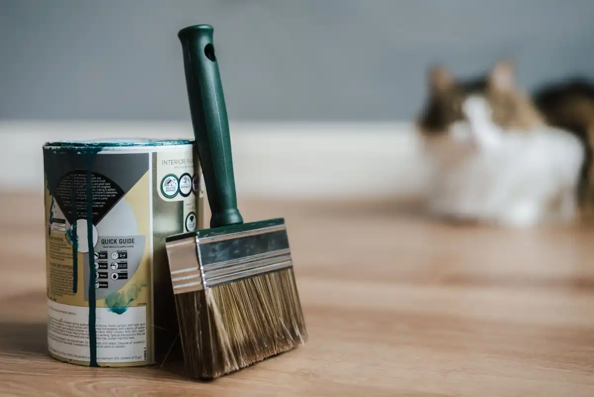 Paint Coverage by Size