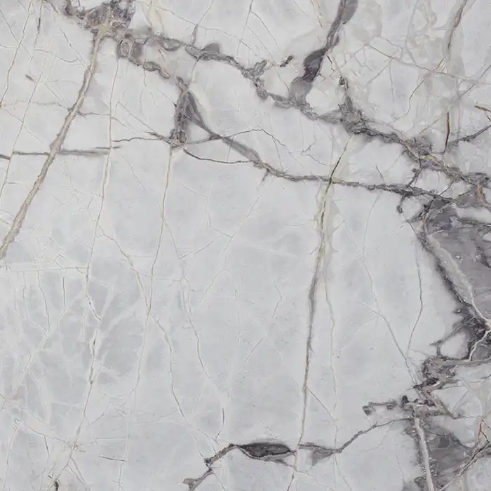 Picasso Grey Marble