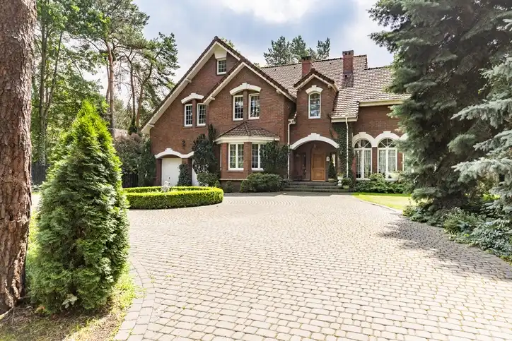 Plant Ideas to Border Your Driveway