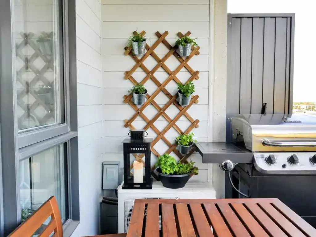 Plant an Herb Garden on Your Winter Patio