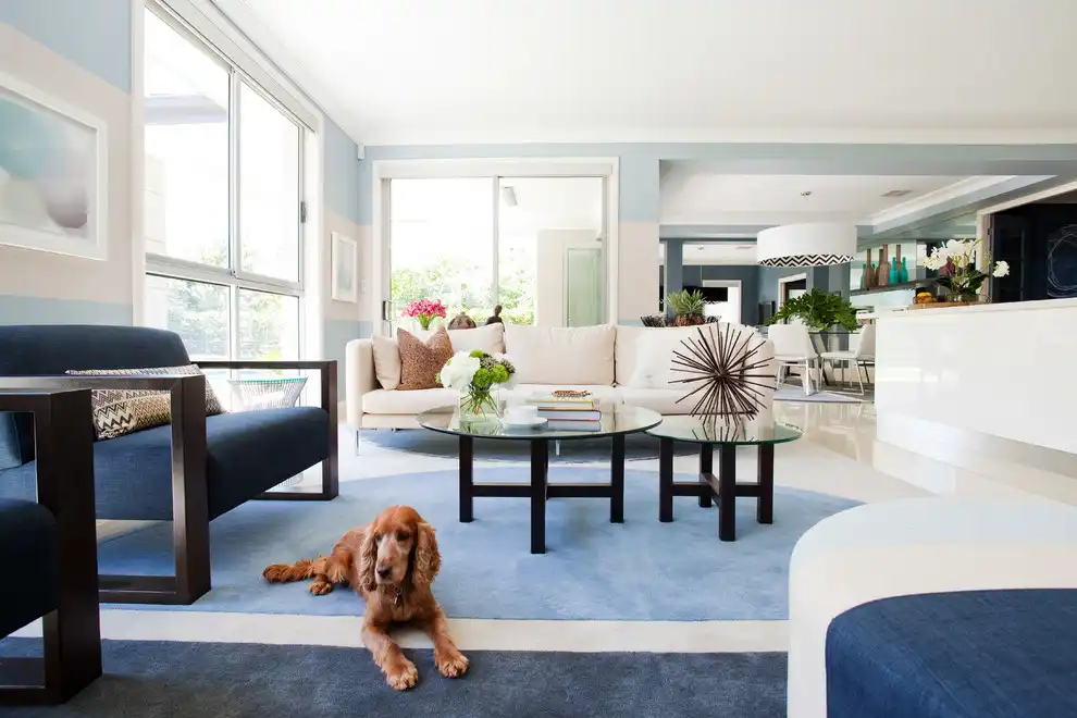 Plue patterns for living room with carpet on the floor