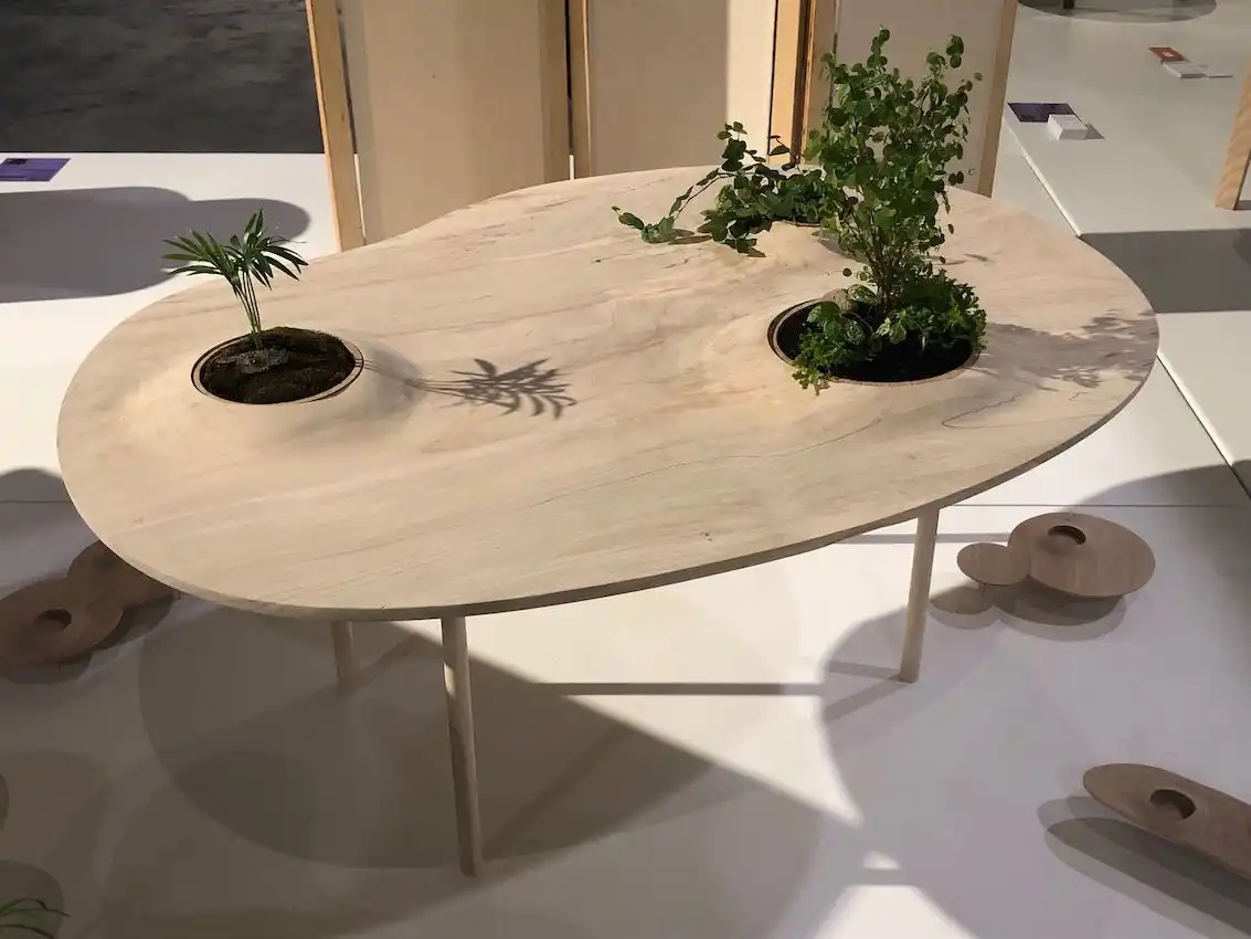 A plain table becomes a landscape of wood and greenery,