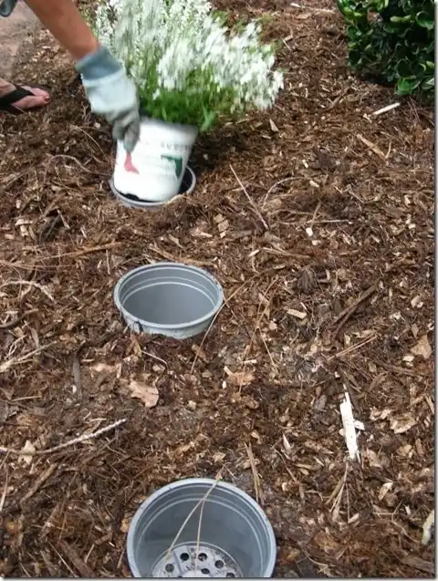 Pot in a pot