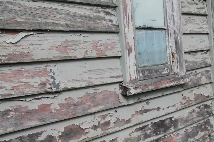 How To Prevent Wood Rot