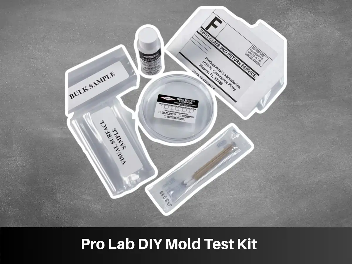 Pro Lab DIY Mold Test Kit