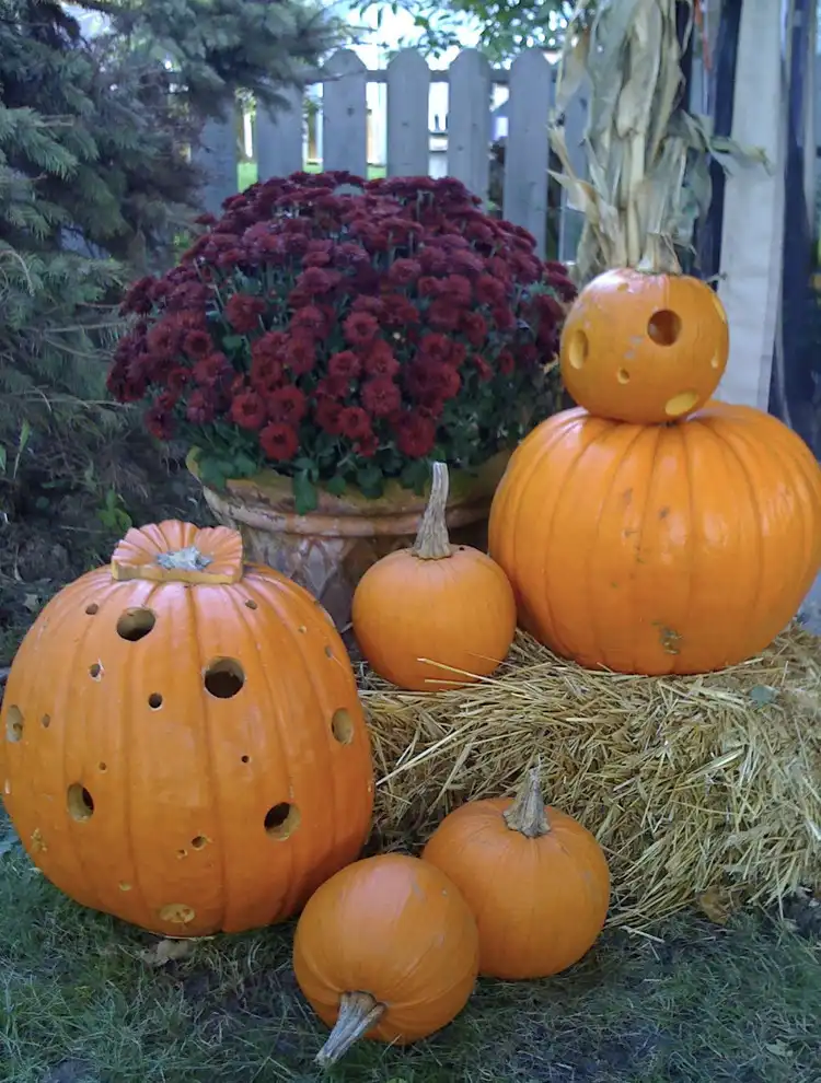 Pumpkin Carving and Display Station