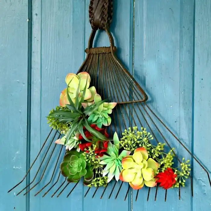 Rake succulent planter